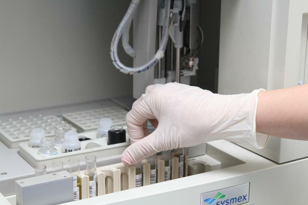 lab